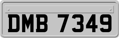 DMB7349