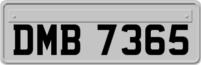 DMB7365