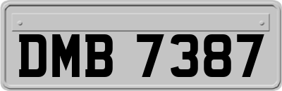 DMB7387