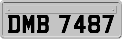DMB7487
