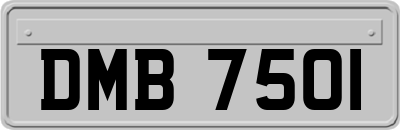 DMB7501