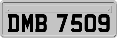DMB7509