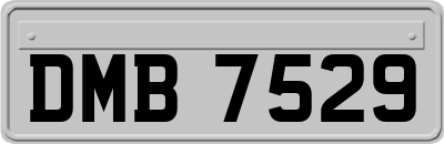 DMB7529