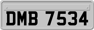 DMB7534