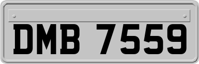 DMB7559