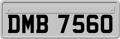 DMB7560