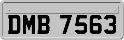 DMB7563