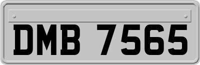 DMB7565