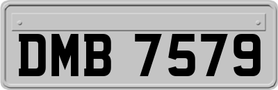 DMB7579