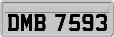 DMB7593