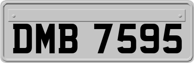 DMB7595