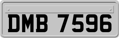 DMB7596