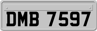 DMB7597