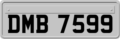 DMB7599