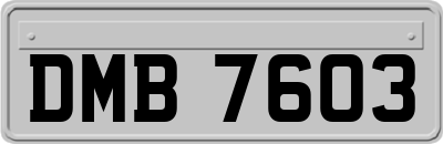DMB7603