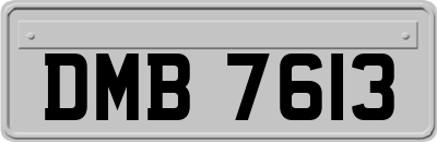 DMB7613