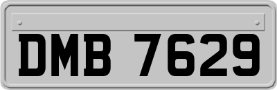 DMB7629