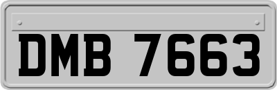 DMB7663