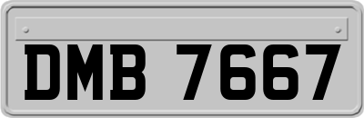 DMB7667