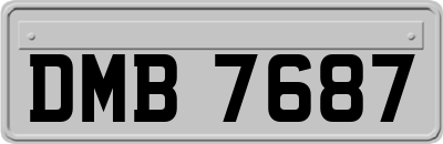 DMB7687