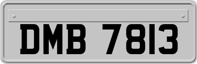 DMB7813