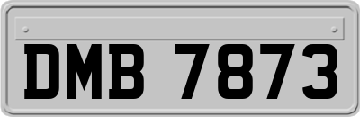 DMB7873