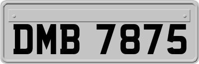 DMB7875