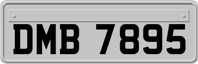 DMB7895