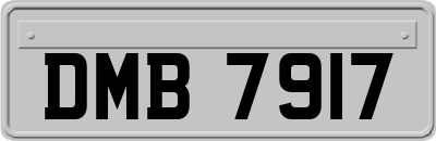 DMB7917