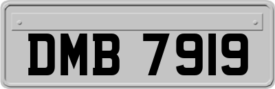 DMB7919