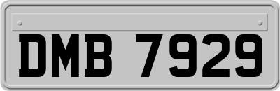 DMB7929