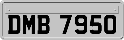 DMB7950