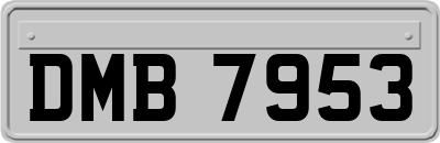 DMB7953