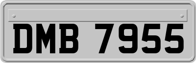 DMB7955