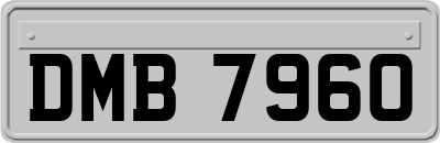 DMB7960