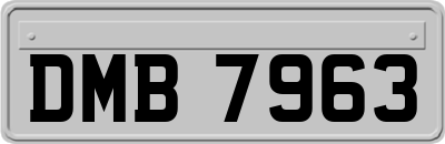 DMB7963