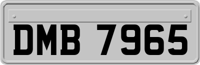 DMB7965
