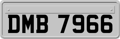 DMB7966