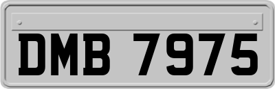 DMB7975