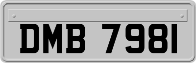 DMB7981