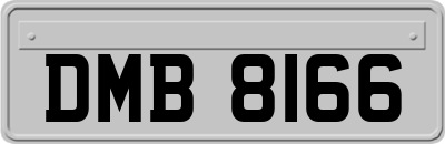 DMB8166