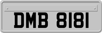 DMB8181