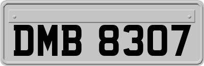 DMB8307