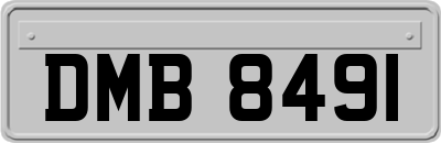 DMB8491