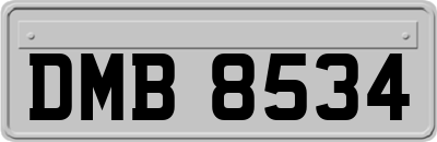 DMB8534