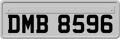 DMB8596