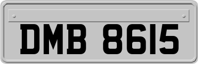 DMB8615