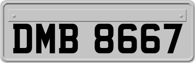 DMB8667
