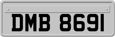 DMB8691