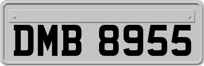 DMB8955